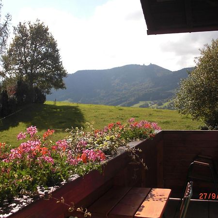 Pension Winter Zell am Moos Esterno foto