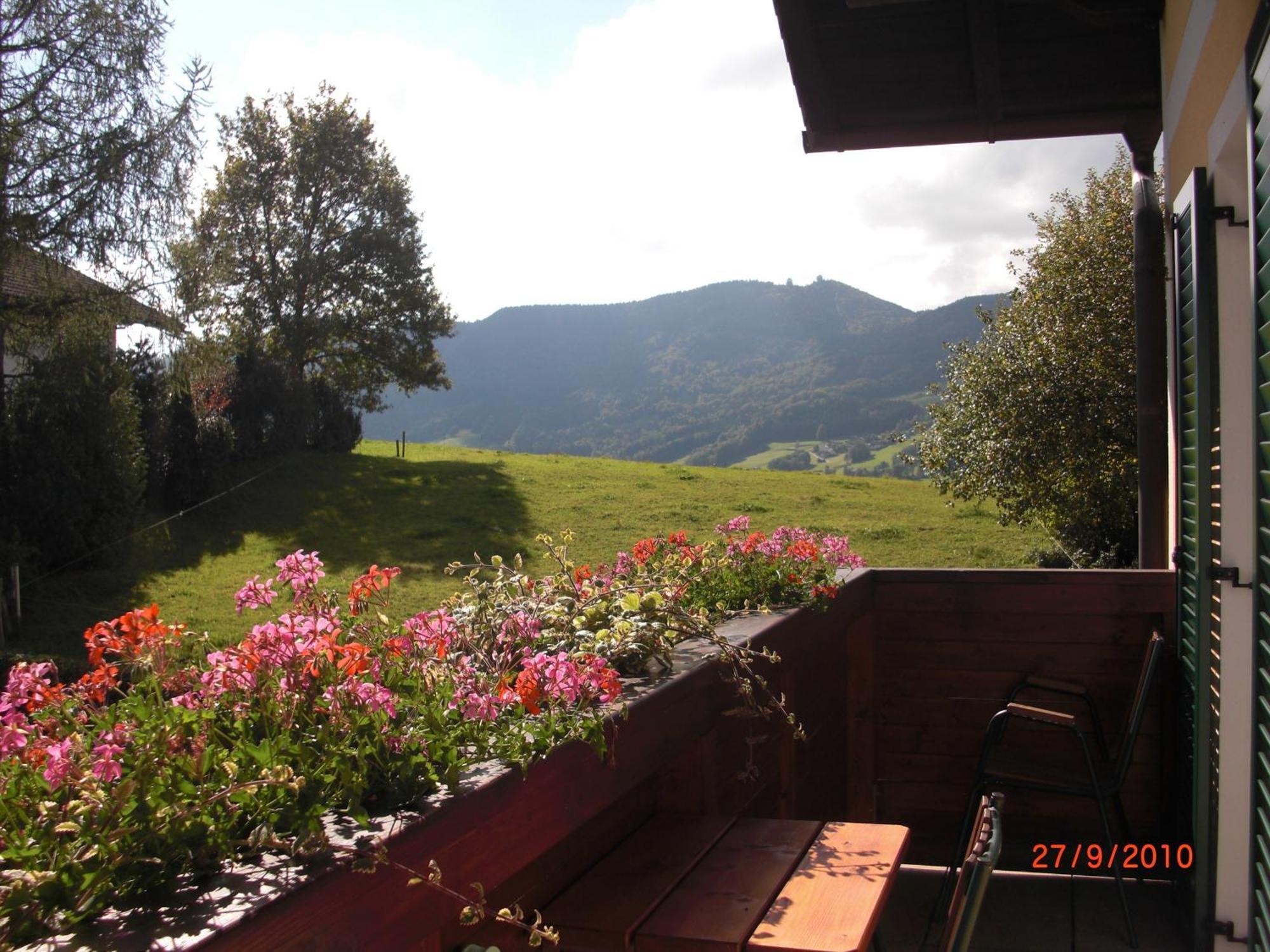Pension Winter Zell am Moos Esterno foto